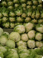 צמחוניות כדרך חיים